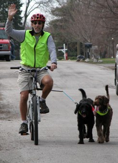 Jeff, Wrigley and Bogie on a ride.