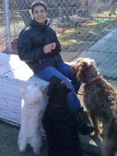 Chris helps the dogs with their survival training - begging.