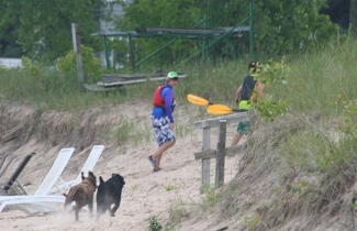 Bogie and Wrigley run back to the cabins after the hike.