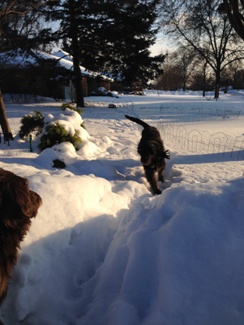 The path through the mounds of snow to the yard beyond.