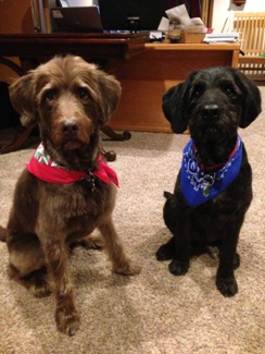 Showing off the new haircuts.