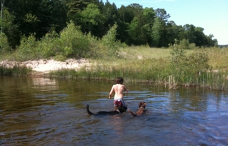 Wrigley and Bogie join Alex as he wades across the creek.